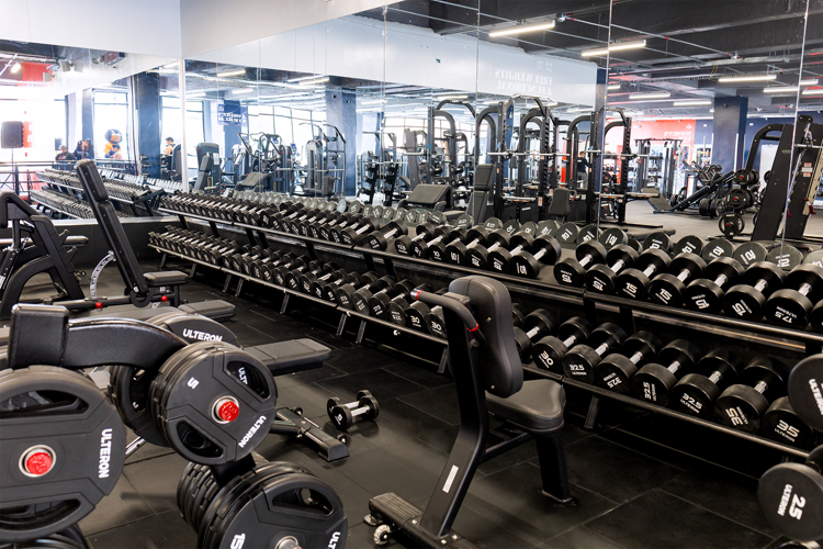Un espacio diseñado para desarrollar fuerza, aumentar masa muscular y mejorar tu rendimiento físico.